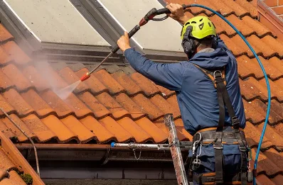 Démoussage et hydrofuge de toiture à Tauves